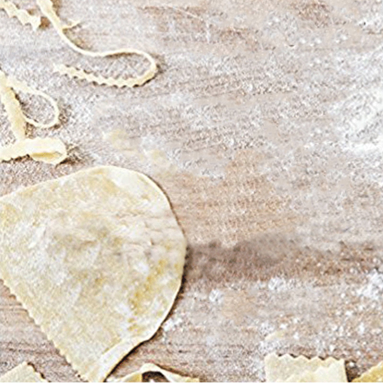 Hand Press Pasta Maker Machine - Kitchen Gadgets Machine incelemesi ve fiyatı